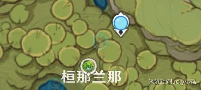 《原神》帕蒂沙蘭收集指南