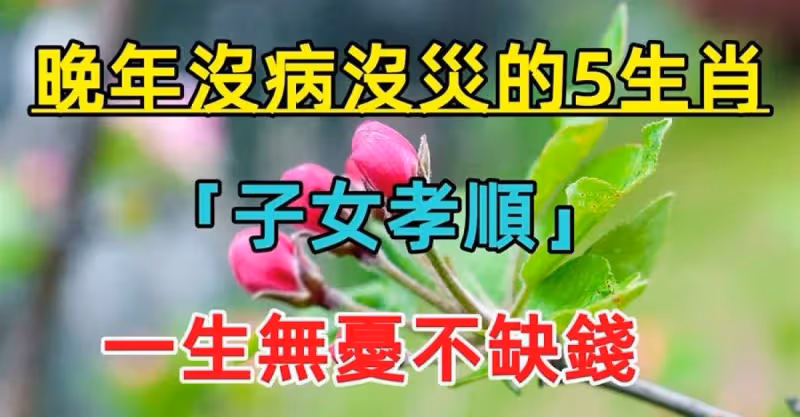 晚年沒病沒災的5大生肖，子女孝順，無憂無慮不缺錢！