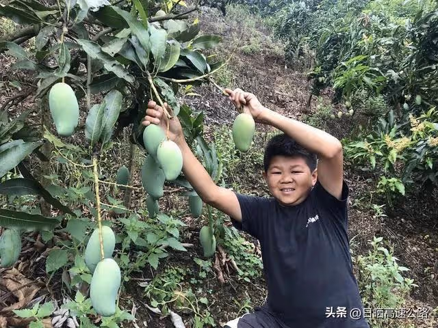 突發!網紅「小六視野」自曝停更原因,團隊解散公司面臨倒閉