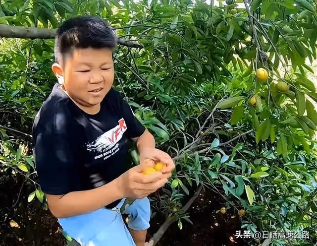 突發！網紅「小六視野」自曝停更原因，團隊解散公司面臨倒閉