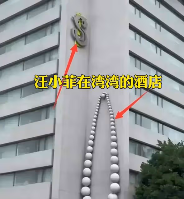 汪小菲和8億富婆緋聞升級！兩人都被前任算計，更多蛛絲馬跡曝光