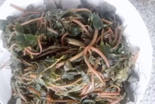 這道菜對糖尿病患者有好處，常吃有利於降低血糖，夏天吃很方便