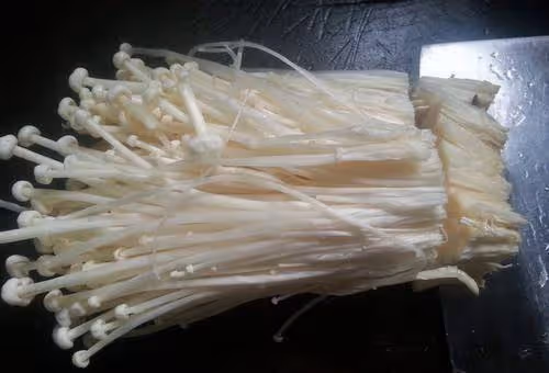 金針菇放冰箱裡,還會繼續生長,是打激素了嗎?告訴你還能不能吃