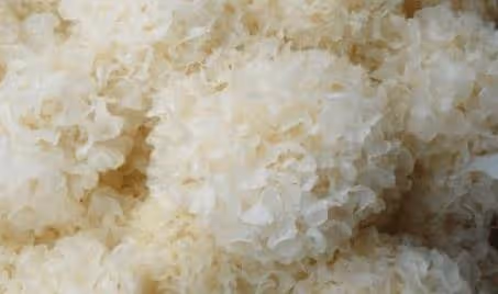 銀耳性質平和,可與多種食材搭配,但是也有這些禁忌!記得收藏!
