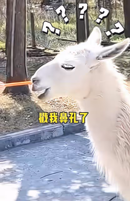 鮑蕾一家四口春遊，陸毅裝傻哄老婆開心，貝兒坐車不忘盤珠子