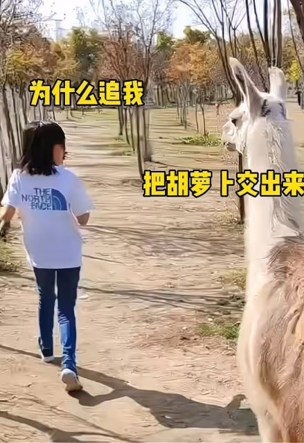 鮑蕾一家四口春遊，陸毅裝傻哄老婆開心，貝兒坐車不忘盤珠子