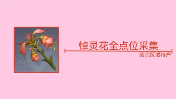 《原神》3.6版本悼靈花採集路線分享