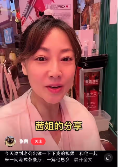 膝下無子女,每月見一次,張衛健和張茜的婚姻,有多少人難理解?
