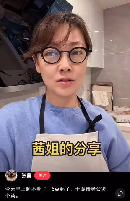 膝下無子女,每月見一次,張衛健和張茜的婚姻,有多少人難理解?