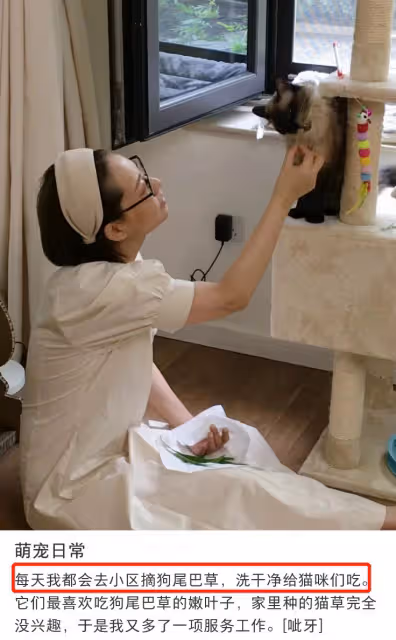 膝下無子女，每月見一次，張衛健和張茜的婚姻，有多少人難理解？