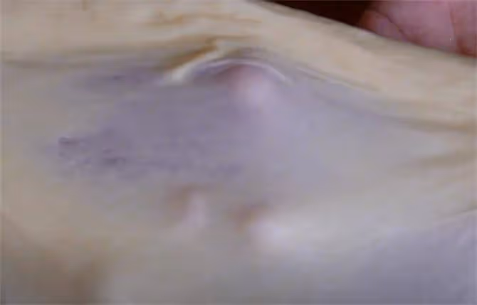 爆漿麻薯軟歐包,1次做4種口味,香軟拉絲又好吃,每一口都是享受