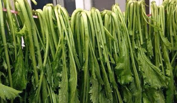 雪裡蕻是芥菜的一種，你們見過這種野菜嗎？營養價值你意想不到的