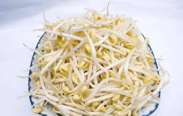 黃豆芽與綠豆芽有何區別？炒豆芽都有哪些注意事項？