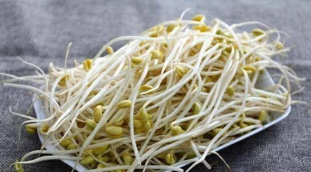 黃豆芽與綠豆芽有何區別？炒豆芽都有哪些注意事項？