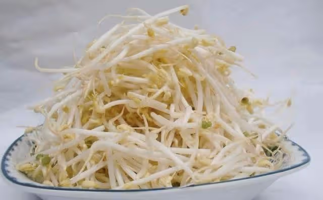 黃豆芽與綠豆芽有何區別？炒豆芽都有哪些注意事項？
