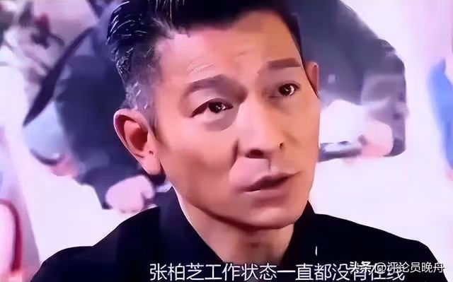 張柏芝:3胎兒子生父被爆出,現又被爆懷4胎?莫非又是營銷?