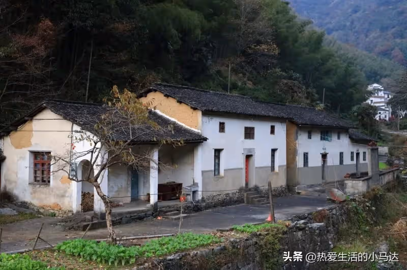 我65歲,退休金6千,回鄉下養老不到半年,卻要被親哥哥給逼瘋了