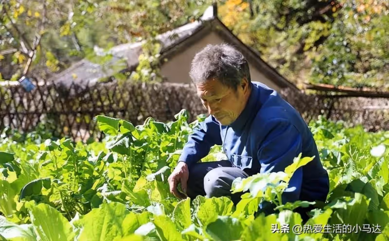 我65歲，退休金6千，回鄉下養老不到半年，卻要被親哥哥給逼瘋了