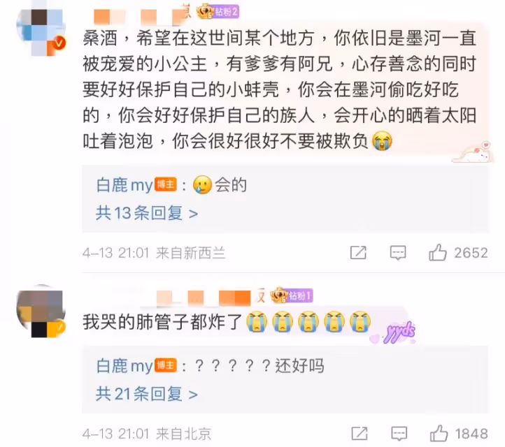 白鹿 羅雲熙發文告別《長月燼明》兩人相互喊話也太虐了!