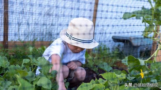 公婆不到60歲，小叔子提出一份養老方案，老公幾句話讓我刮目相看