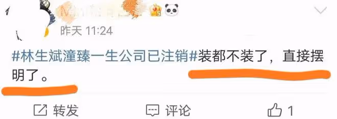 林生斌註銷「潼臻一生」公司，帶全家移民，網友辣評：裝都不裝了