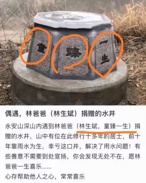 林生斌註銷「潼臻一生」公司,帶全家移民,網友辣評:裝都不裝了