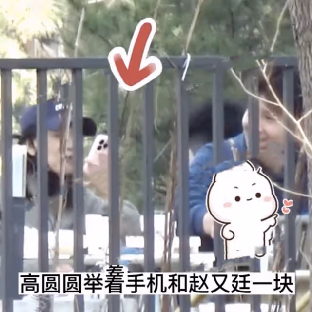 趙又廷夫婦牽手逛街，高圓圓喂老公吃甜品，與女兒視頻笑得好幸福