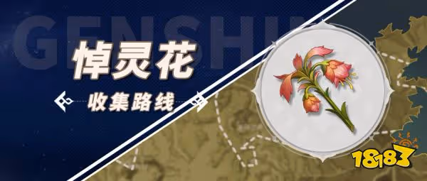 原神悼靈花採集位置大全 悼靈花採集詳細路線分布圖