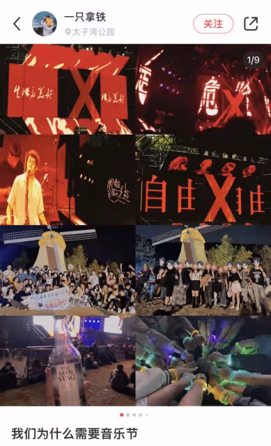 為了去看越來越貴的音樂節,我選擇去現場當保安