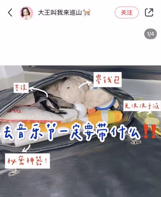 為了去看越來越貴的音樂節,我選擇去現場當保安