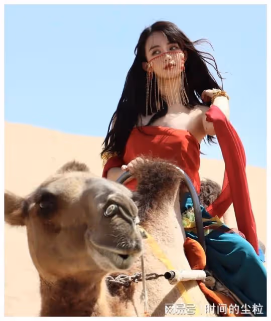 古代君王遠征西域的原因,盤點娛樂圈西域美女,看完你就明白了