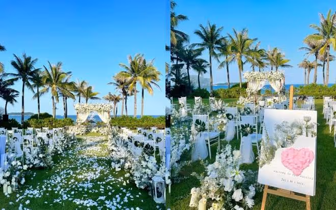 竇驍何超蓮大婚!新娘膚白貌美身材好,新郎陽光俊朗,伴郎、伴娘團也高顏值