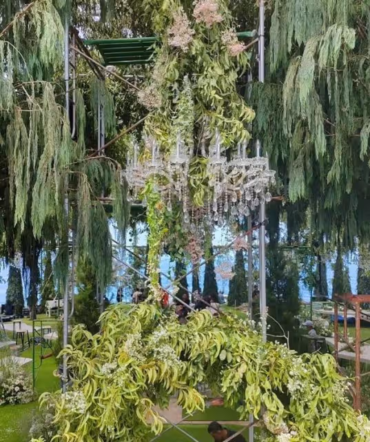 何超蓮竇驍大婚!伴娘團美艷大方,伴郎團帥氣逼人,內場布置奢華