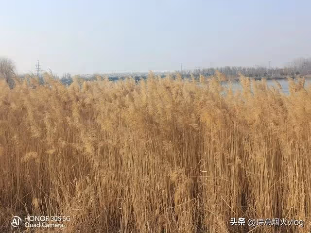 72歲大媽哭訴:再婚32年病了,親兒子不管後兒子不要,我該怎麼辦