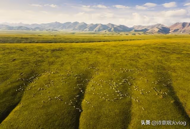 72歲大媽哭訴:再婚32年病了,親兒子不管後兒子不要,我該怎麼辦