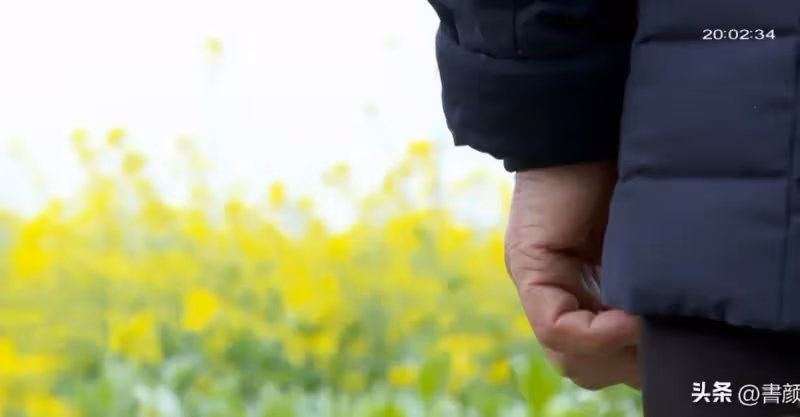2019年，兒子車禍去世後，公婆在兒子旁邊，為兒媳置辦一塊墓地