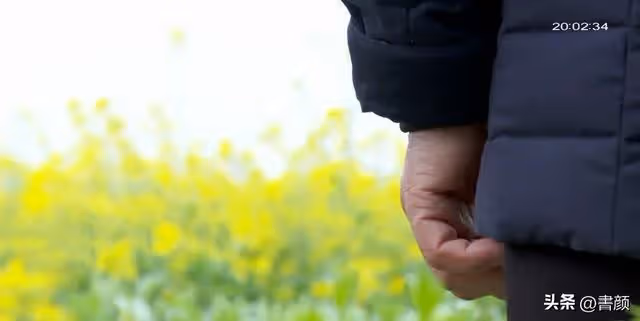 2019年,兒子車禍去世後,公婆在兒子旁邊,為兒媳置辦一塊墓地