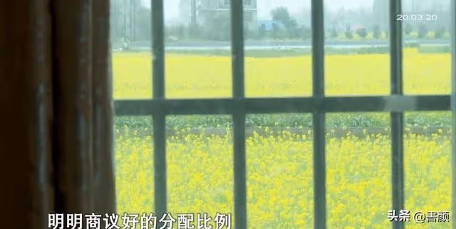 2019年,兒子車禍去世後,公婆在兒子旁邊,為兒媳置辦一塊墓地