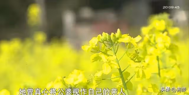 2019年，兒子車禍去世後，公婆在兒子旁邊，為兒媳置辦一塊墓地