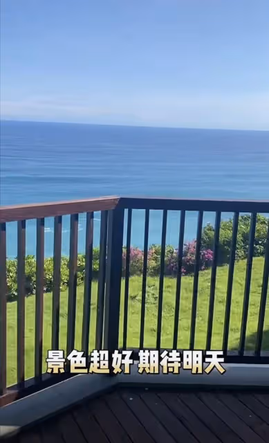 何超蓮曬婚禮vlog，透露竇驍包辦所有環節，現場放煙花驚喜連連