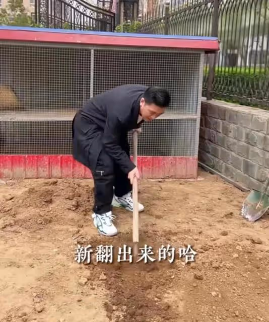 明星楊子再次被網友嘲諷,表示陪媽媽干一天農活,腳上鞋賣了他