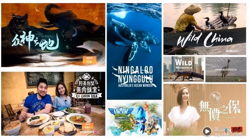 響應世界地球日!A站播放海內、外大自然主題節目!
