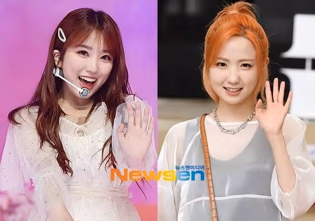 她們要回韓國,參加女團選秀再次出道?網友:自身熱度比節目都高