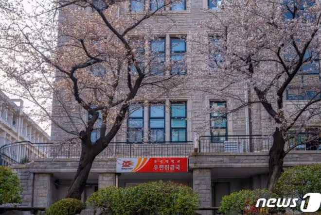櫻花季又來了!盤點適合看櫻花的韓國大學
