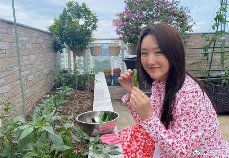 54歲毛寧現身西安撈金!陪富婆唱一首歌賺150萬,面部僵硬疑整容
