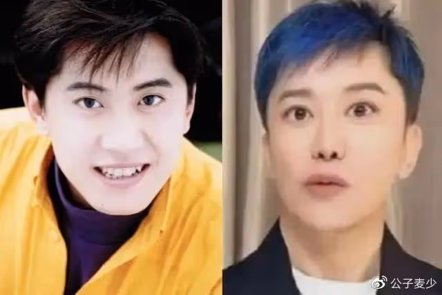 54歲毛寧現身西安撈金!陪富婆唱一首歌賺150萬,面部僵硬疑整容
