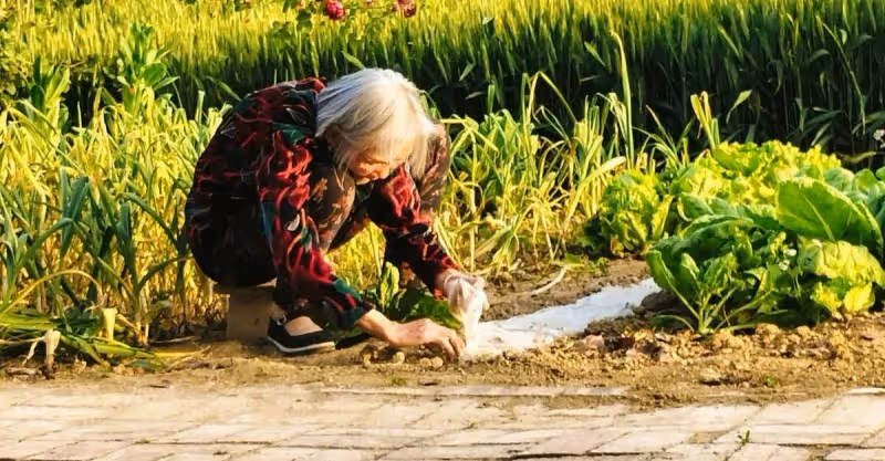 拆遷5套房，母親想全給兒子，女兒不同意，母親：不同意我就喝藥