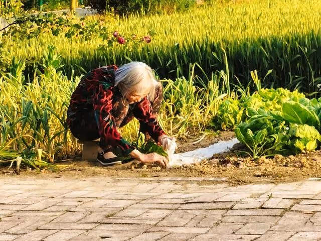 拆遷5套房,母親想全給兒子,女兒不同意,母親:不同意我就喝藥