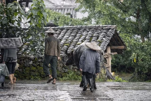 兒媳患癌,婆婆逼兒媳離婚,兒媳離婚後,婆婆又讓兒子要回房子