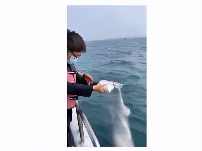 李坤城海葬現場林靖恩沒有現身，骨灰由兒子撒向大海安葬